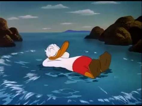 Donald Duck At The Beach