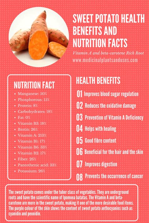 Amount of calories in sweet potato: Sweet Potato Health Benefits and Nutrition Facts - Ipomoea ...