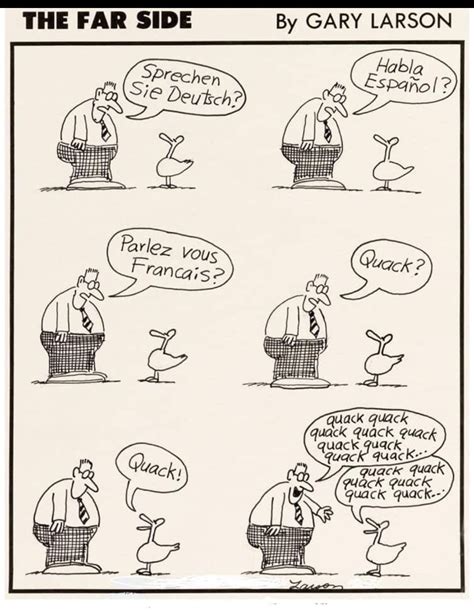 Pin By Ralphup On Duck Friday Humor The Far Side Gary Larson