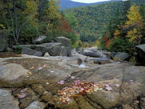 Fall Foliage Appalachian Trail White Mountains New