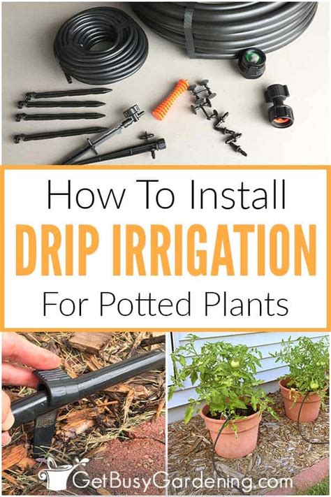 How To Install A Diy Drip Irrigation System For Potted Plants