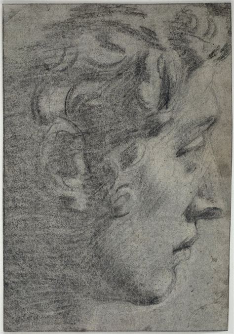 Studie Nach Michelangelos Kopf Des Giuliano De Medici Digitale Sammlung