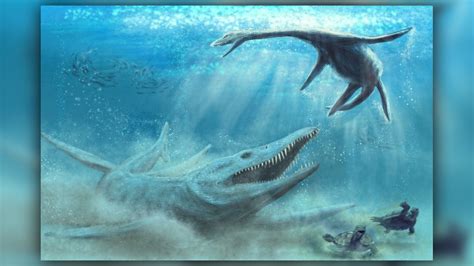 Remains Of A Massive Jurassic Sea Monster Found In A Polish Cornfield Live Science