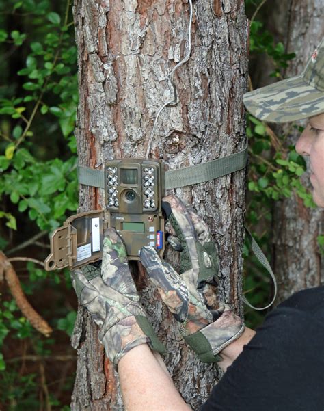 Deer Trail Camera Setup For Any Hunting Location Great