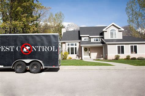 Find pest control companies near you. 4 Tips For Finding The Best Pest Control Company Near Me ...
