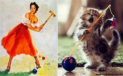24 Cats Posing Like Pin Up Girls Gallery Ebaum S World