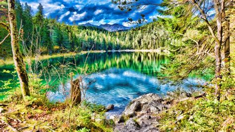 8k Ultra High Resolution Nature Wallpapers Willamette National Forest