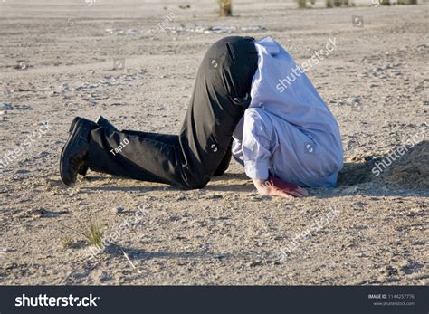 27 Bury Your Head Sand Images Stock Photos And Vectors Shutterstock