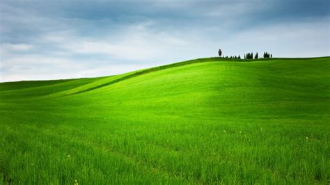 Grassy Hill Landscape Video Bokep Ngentot
