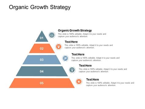 Organic Growth Strategy Ppt Powerpoint Presentation Styles Smartart Cpb