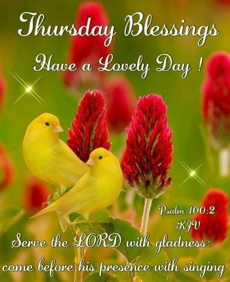 Yellow Bird Thursday Blessings Pictures Photos And Images For