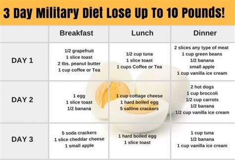 This way, you can burn a total of 3500 calories in a week. Diet Plan To Lose Belly Fat In 2 Weeks Pdf - Diet Plan