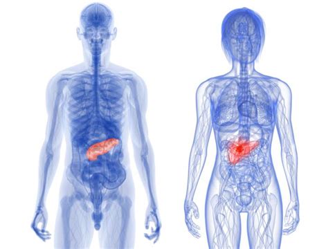 Chronic Pancreatitis Treatments Symptoms And Causes