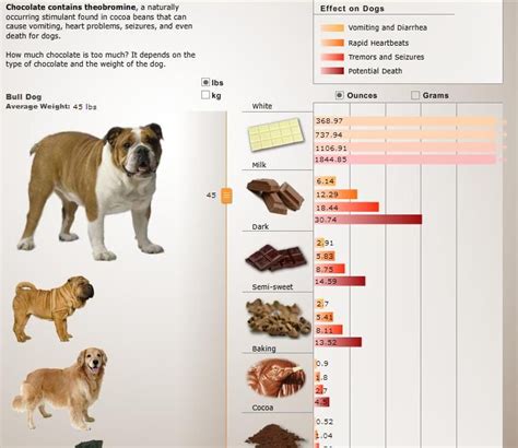 Interactive Chocolate Chart Effects On Dogs By Weight And Amount Of