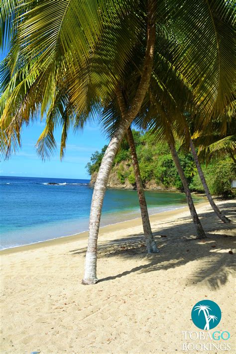 Arnos Vale Bay Tobago 1 Beach Ocean Relaxation In