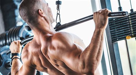 The Best Muscle Fitness Back Workout Routines Of All Time Top
