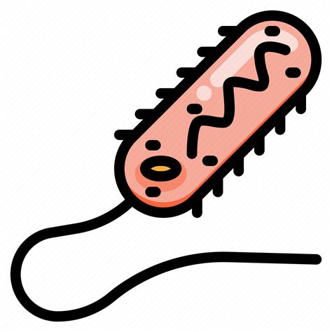 Organism Prokaryote Biology Bacteria Cell Icon Download On Iconfinder