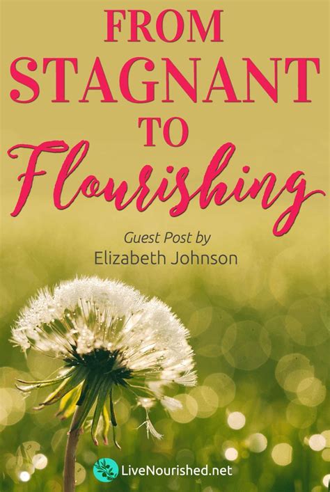 From Stagnant To Flourishing Guest Post By Elizabeth Johnson Live