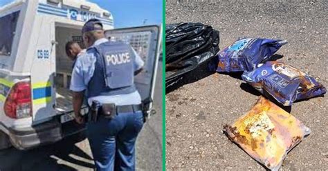 massive r3 million drug bust sends shockwaves through limpopo region