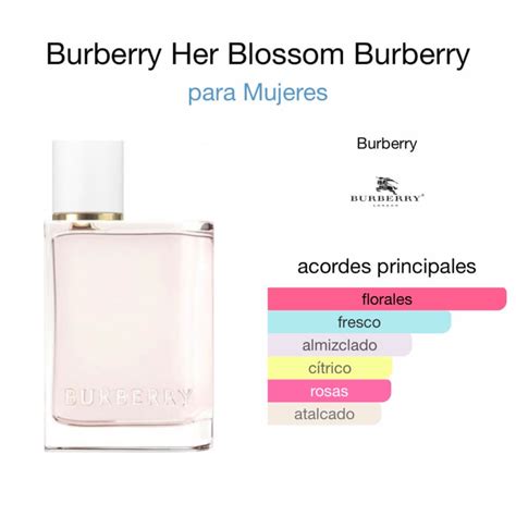 Total Imagen Notas Del Perfume Burberry Her Abzlocal Mx