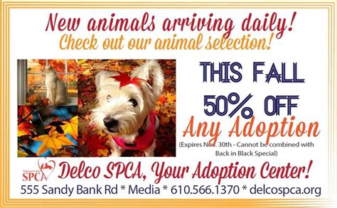 Others need the temporary commitment of foster parents until their own family is able to care for them. DELAWARE COUNTY, PA SPCA! Back by popular demand, 50% off ...