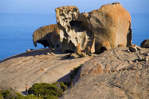 Top Things To Do On Kangaroo Island 2020 Book Online Experience Oz