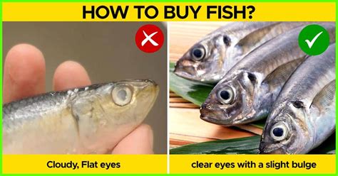 Learn How To Buy A Fresh Fish