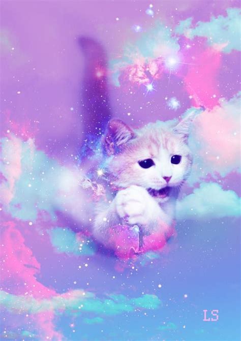 Hd Wallpaper Galaxy Cat Wallpaper Ubin