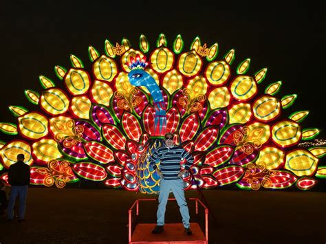 Chinese lantern festival of 2021 falls on feb 26, which is the 15th day of the first lunar month. Moonlight Forest/Magic Lantern Art Festival - Arcadia, CA