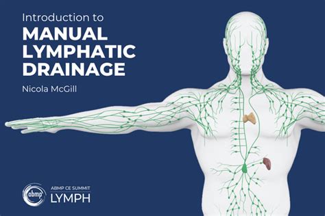 2022 Abmp Ce Summit Course—introduction To Manual Lymphatic Drainage