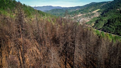 Wildfires Southern Oregon Fights To Avoid Becoming Next Paradise