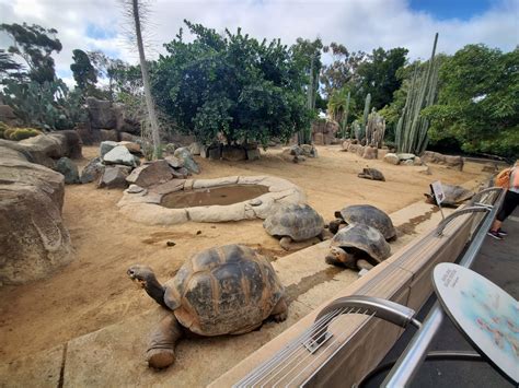 Sep 2019 Reptile House Reptile Walk Galapagos Tortoise Exhibit
