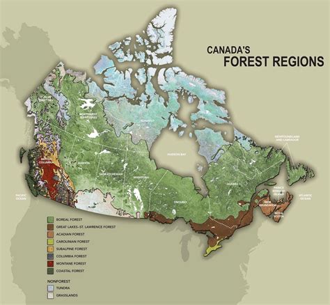Canadas Forest Regions Rcanada