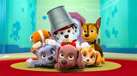 Pups Save A Playful Dragonpups Save The Critters Paw Patrol Apple Tv