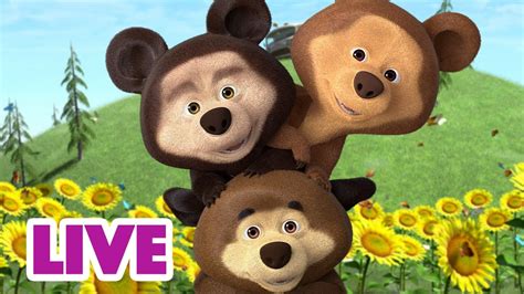 🔴 Live Stream माशा एंड द बेयर ️🐼👶 बच्चों की शक्ति 📺 Masha And The Bear In Hindi Youtube