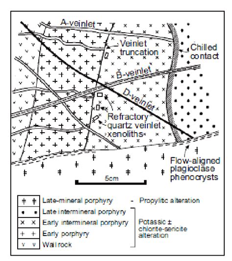 Vein Types Observed In A Porphyry Copper Gold Deposit From Sillitoe