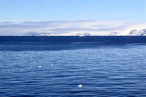 Brown Bluff Antarctica