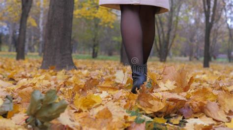 Pantyhose Slow Stock Footage And Videos 75 Stock Videos