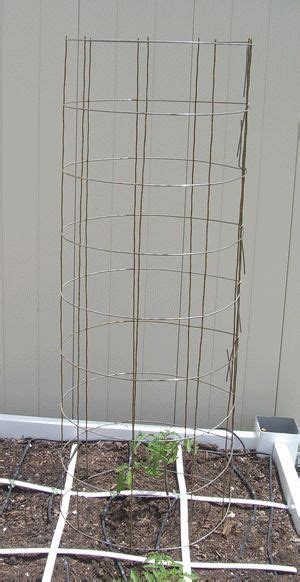Build Your Own Tomato Cage Using Re Mesh Or Hog Wired Tomato Cages