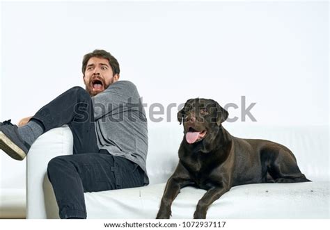 Man Afraid Dogs Emotions Stock Photo 1072937117 Shutterstock