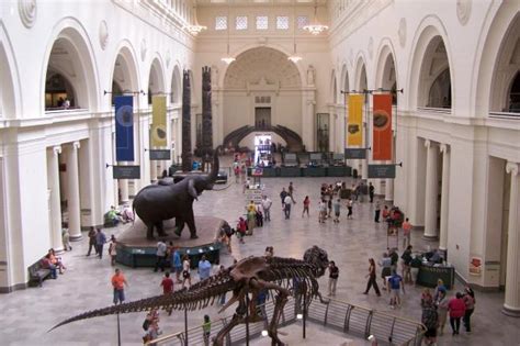 Field Museum Is Free In February For Illinois Residents Downtown