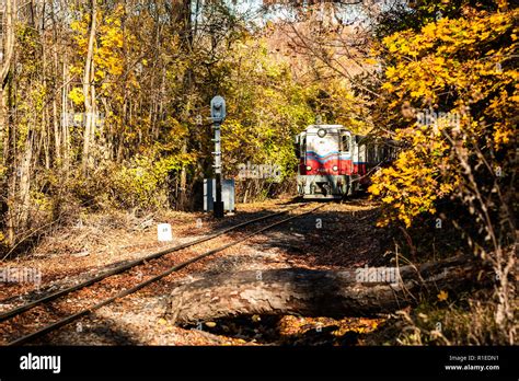 Railroad Tracks In The Forest Between Trees On Autumn With Yellow