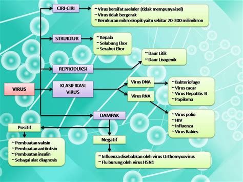 My First Blog: PETA KONSEP VIRUS BESERTA PENJELASANNYA