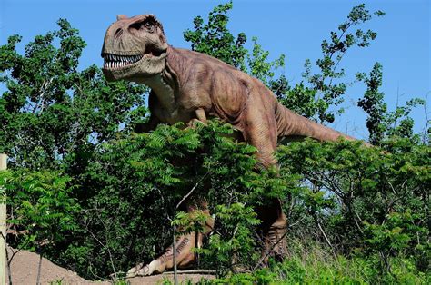 SPL Children: Dinosaur Storytime
