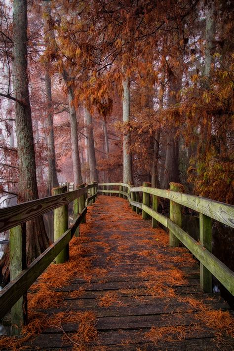 The Fall Foliage At These 10 State Parks In Tennessee Is Stunningly