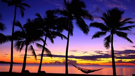 Tropical Beach Sunset Hammock Wallpapers Hd Desktop And