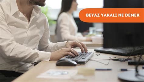 Beyaz Yakalı Ne Demek? - Engelli.com