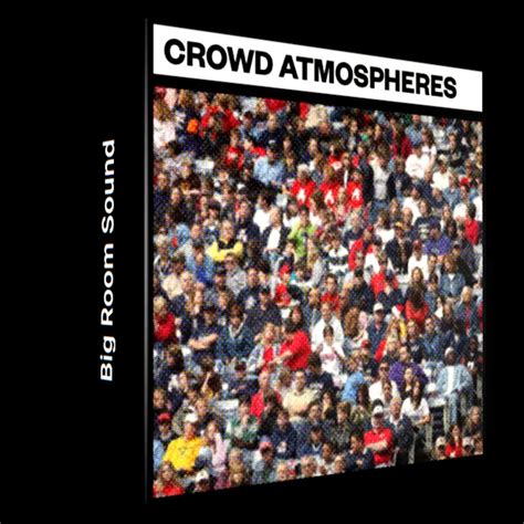 Big Room Sound Crowd Atmospheres Cgdownload