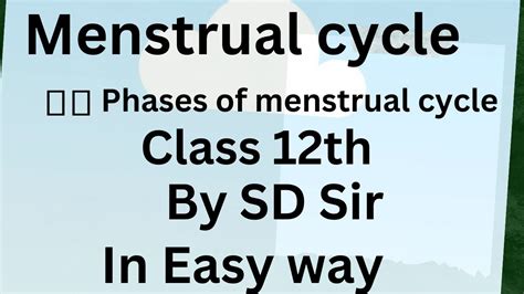 Menstrual Cycle Human Reproduction Class 12th Neet Biology Youtube