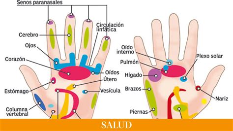 Reflexolog A El Arte De Curar Por Los Pies Y Las Manos